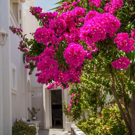 Wisteria Apartments كارتيرادوس المظهر الخارجي الصورة